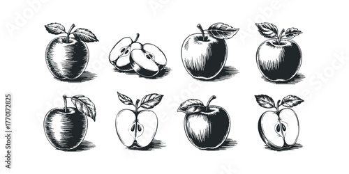 Collection of hand drawn apples and halves