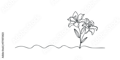 Minimalist continuous line drawing of two lilies