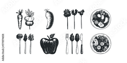 Sketch Collection of Fresh Food Items and Prepared Dishes