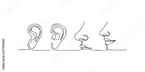 Minimalist continuous line drawing of human ears and noses
