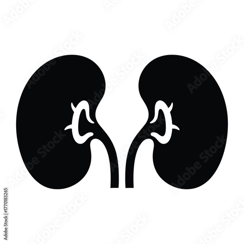 Kidney icon of human internal organ