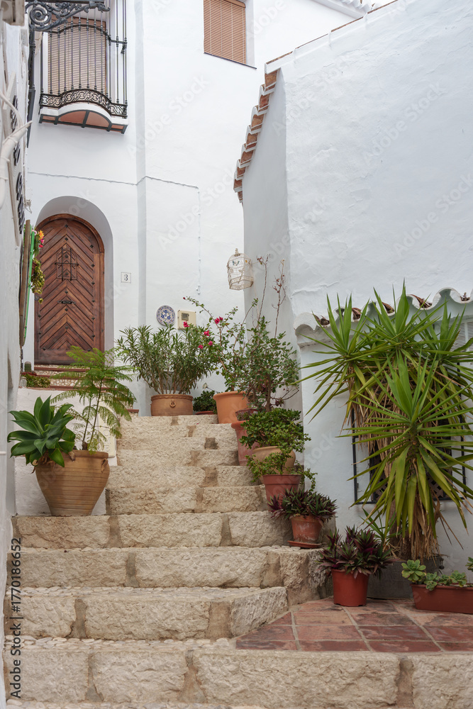 Naklejka premium Sunlit Whitewashed Stair Street with Terracotta Pots and Lush Plants, Mediterranean Village
