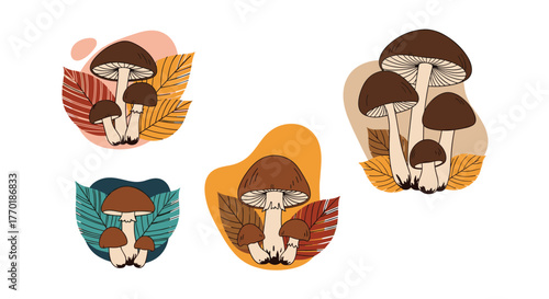 Whimsical hand-drawn illustrations showcasing brown mushrooms nestled among colorful autumn leaves and abstract organic shapes, perfect for fall nature designs.