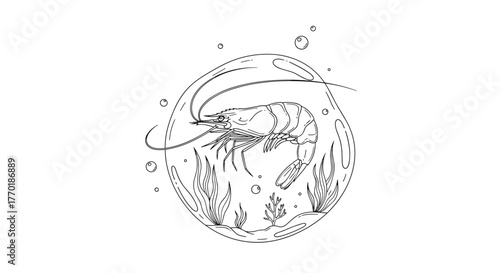 A detailed line art illustration of a shrimp in an aquatic environment, enclosed in a round shape with underwater plants and bubbles.