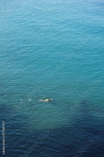 Aerial-Look Shot of Open Sea with Single Swimmer and Soft Gradients