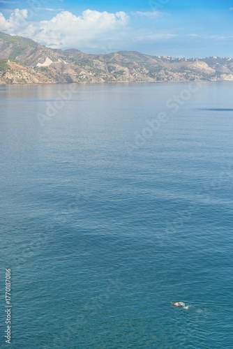 Open Sea with Lone Swimmer and Distant Cliffs, Minimal Coastal Scene