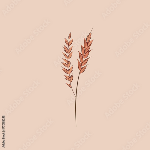 Minimalist hand drawn wheat and barley stalks with golden color isolated on soft beige background sketch style vector illustration