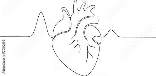 Human Heart E K G Line Art cardiology electrocardiogram