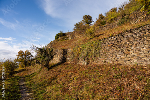 Rheinsteig bei Kaub mit alten Hangmauern (Trockenmauern), Oktober 2025