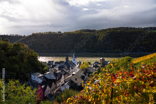 Blick auf Kaub, Rheinsteig bei Kaub, Oktober 2025