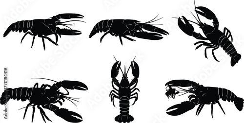 Lobster silhouettes, marine life vector, crustacean illustration, underwater animal design, sea creature graphic, ocean wildlife art, aquatic shellfish collection