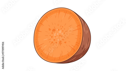 A cartoon crosssection of a sweet potato