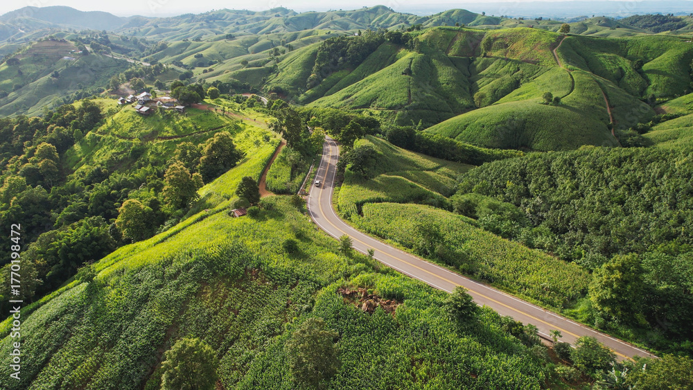 Naklejka premium Aerial view of a car running along the mountain road on the hill by drone