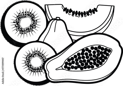 Fruit illustration of kiwi papaya and melon in black and white