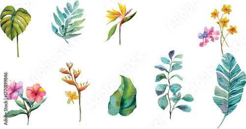 set of colorful floral elements