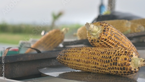 Roasted Corn Sold On The Street