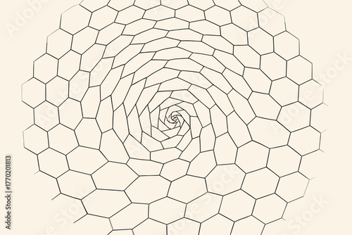 Rotation spinning illusion hexagonal layers optical spin vector field polygonal dynamic illustration