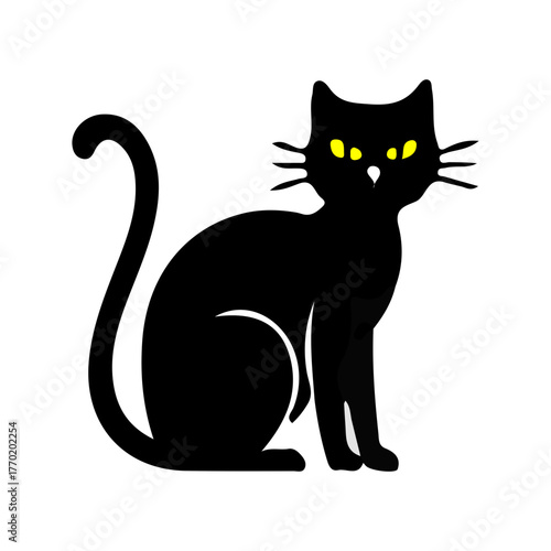 black and white cat