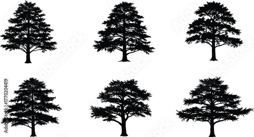 PrintSet of six pine tree silhouettes on white background, natural forest shapes, evergreen conifer trees, black vector design illustration, nature art