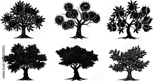 PrintSilhouette of fruit trees, tropical plant collection, black botanical illustration, natural forest design, agriculture tree art, nature growth concept vector