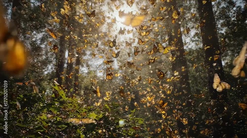 Hundreds of orange butterflies flying through a sunlit forest filled with trees and leaves.