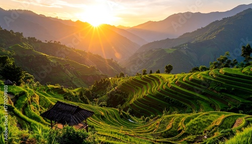 Rice terraces and mountains at sunset. (1)