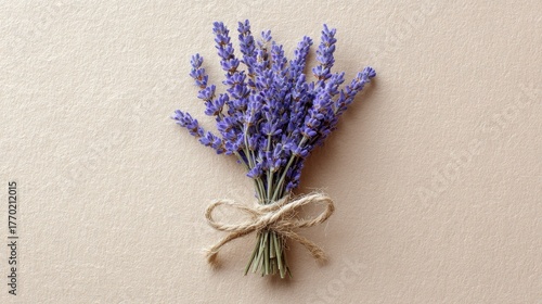 lavender bundle tied
