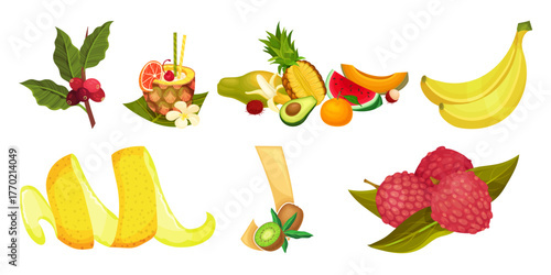 set of fruits and vegetables