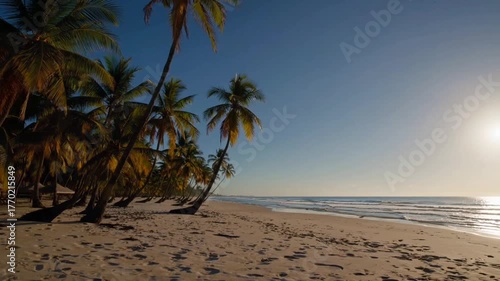 Landscape of sunset sea beach. palm trees on the beach in the evening. Evening twilight.
