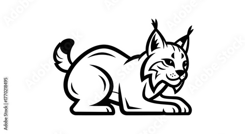 Detailed Black and White Illustration of a Crouching Lynx.