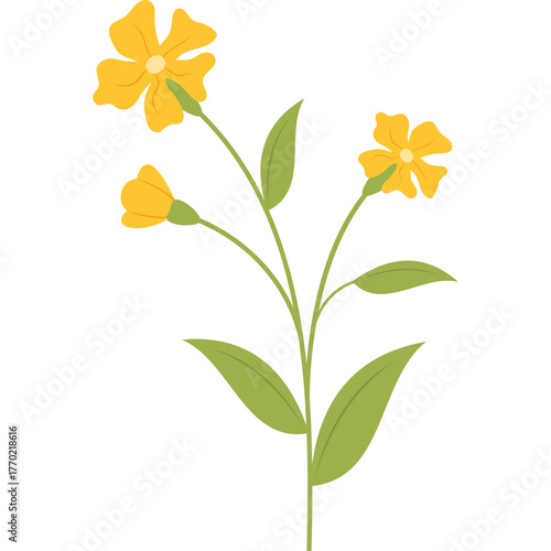 Simple illustration of a flowering plant with yellow blossoms and green leaves on a white background