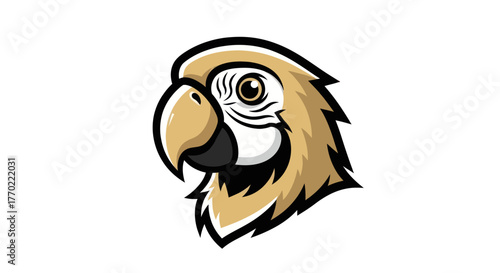 Detailed Illustration of a Parrot Head with Striking Features.