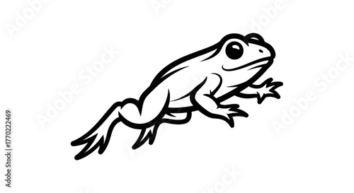 Detailed Line Art Illustration of a Cartoon Frog.