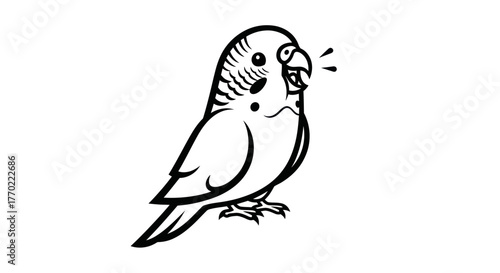 Fotografi Detailed Line Art of a Chirping Budgerigar Bird.