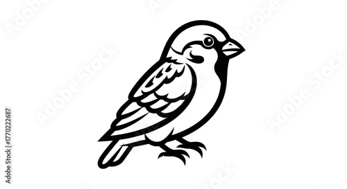 Detailed Line Art of a Sparrow Perched and Alert.