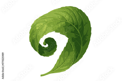 Leaf illustration green simple highlights natural showing realistic shadows organic vector leafcurl