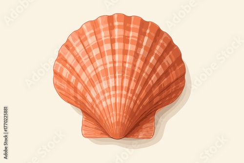 Soft striped enhancing seashell illustration natural vector curved shading coral patterns