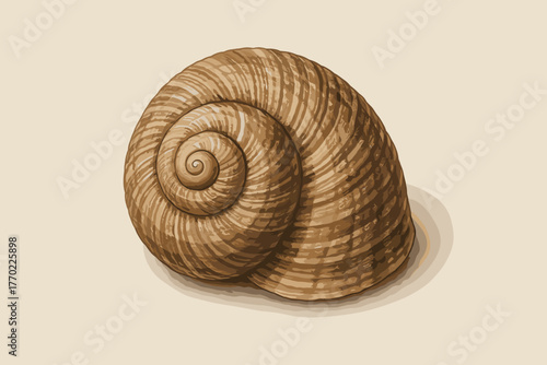 Palette intricate illustration vector spiral seashell tiny color natural grooves
