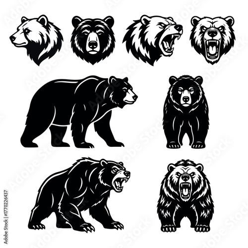 wild animas bear set.eps