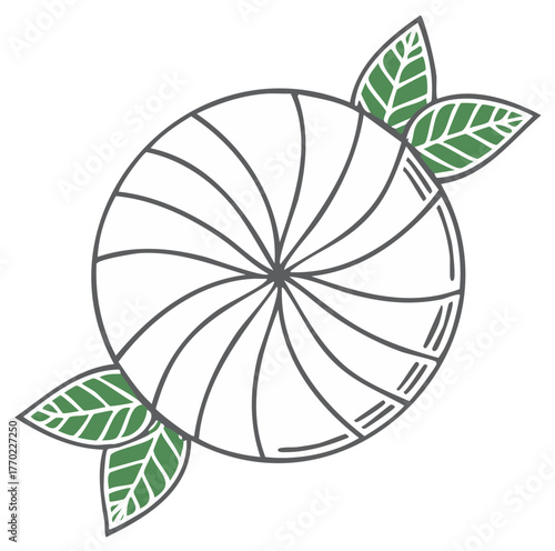 Line art illustration of a swirled peppermint hard candy with fresh green mint leaves