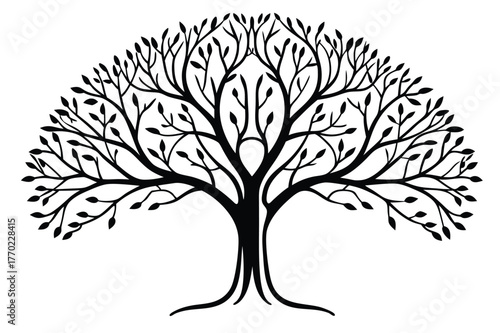 Tree of Life Line Art Illustration