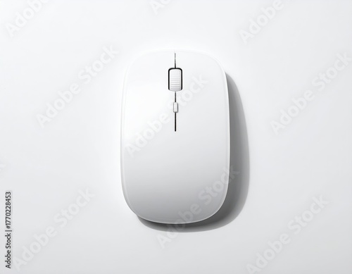White computer mouse, top-down view