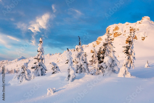 snow covered mountains and fir trees in hoarfrost