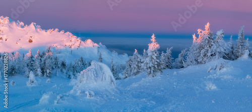 winter landscape in the mountains