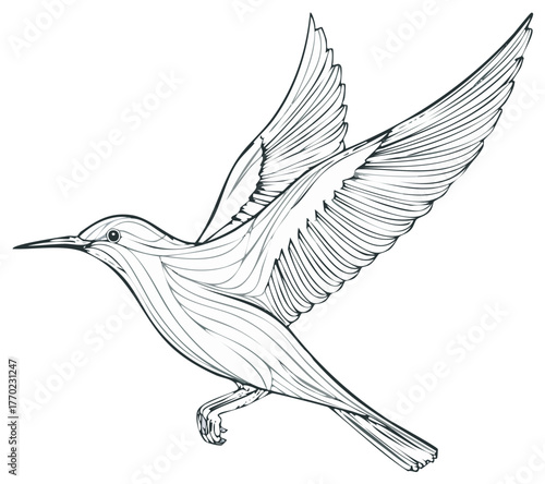 Stylized line art illustration of a small bird in flight with detailed wings and body contours