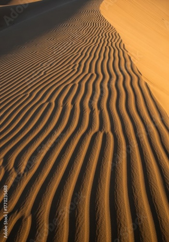 A sand dune in the middle of a desert at sunset