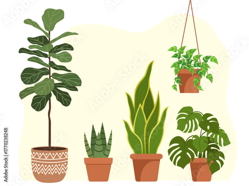 houseplants set house decor plants succulents indoor exotic flowers stems leaves monstera ficus pothos yucca dracaena cacti snake plant home interior illustration