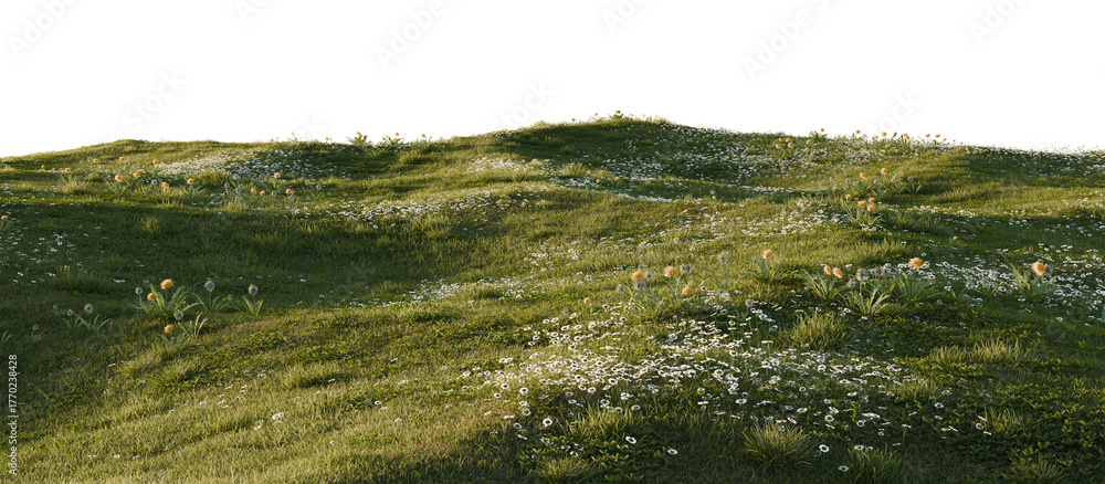 Fototapeta premium Hills with grass on a transparent background. 3D rendering. 