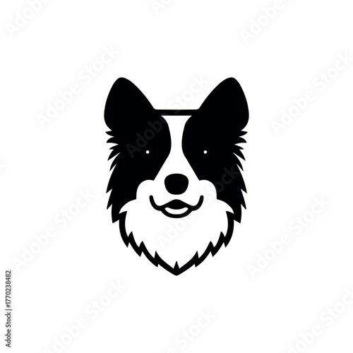 Border Collie Dog Face Vector
