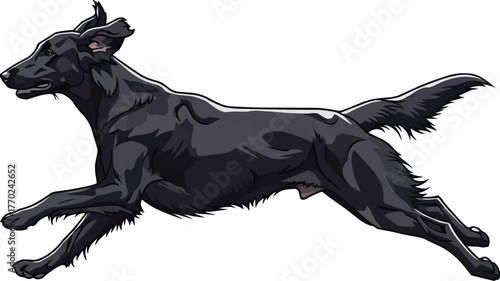 Flat Coated Retriever dog running energetic vector illustration